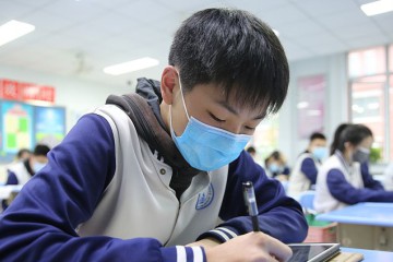 中小學生如何減壓？參加培訓能一步到位嗎？