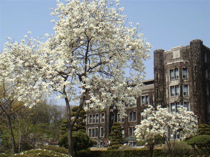 以三所大學為例，來了解一下韓國大學的心理學專業(yè)！
