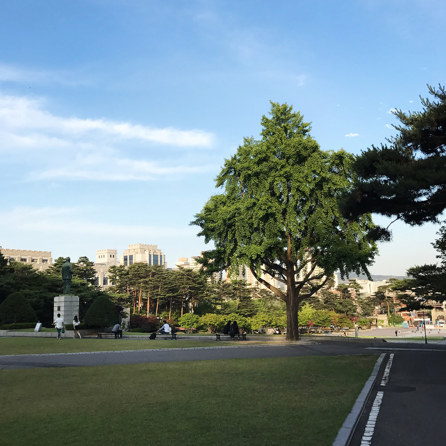 韓國留學  韓國的大學院分為哪3類？
