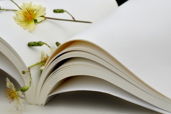 日本名古屋藝術大學排行