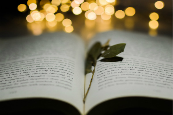 去日本學動漫專業(yè)條件（去日本學動漫專業(yè)要求有哪些？）