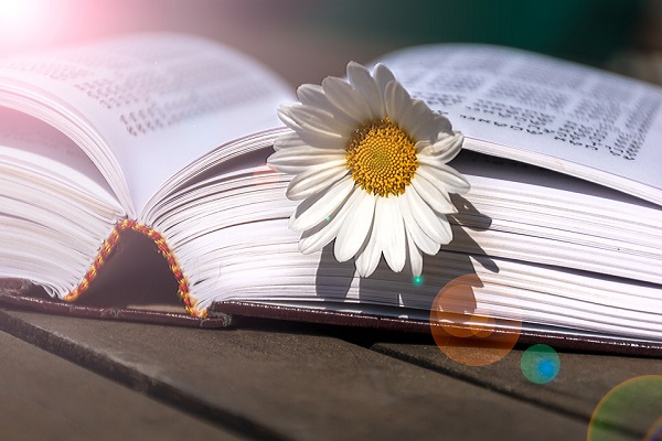 日本東京工藝大學(xué)申請要求