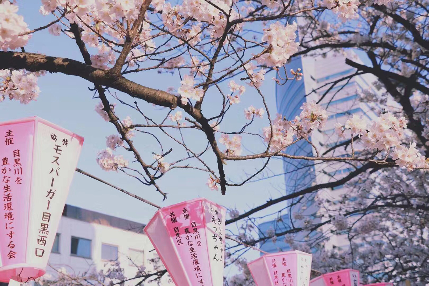 申請日本讀語言學(xué)校，幾月份去最合適？