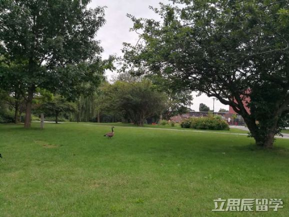 留德不能按時(shí)畢業(yè)怎么辦？！有什么后果？！