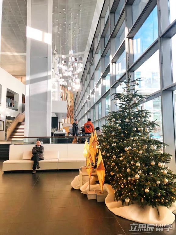 申請德國博士生獎學金你達到這些條件嗎？