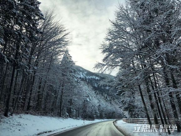 德國(guó)人為什么忌諱“13”？