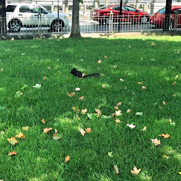 【APS審核部】留學(xué)簽證須知又又又又更新啦！