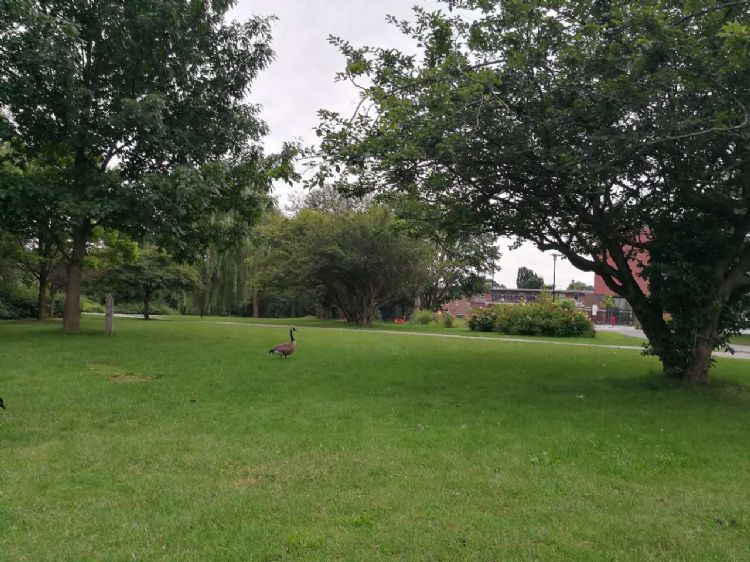 德國大學(xué)2021年冬季學(xué)期申請截止時間