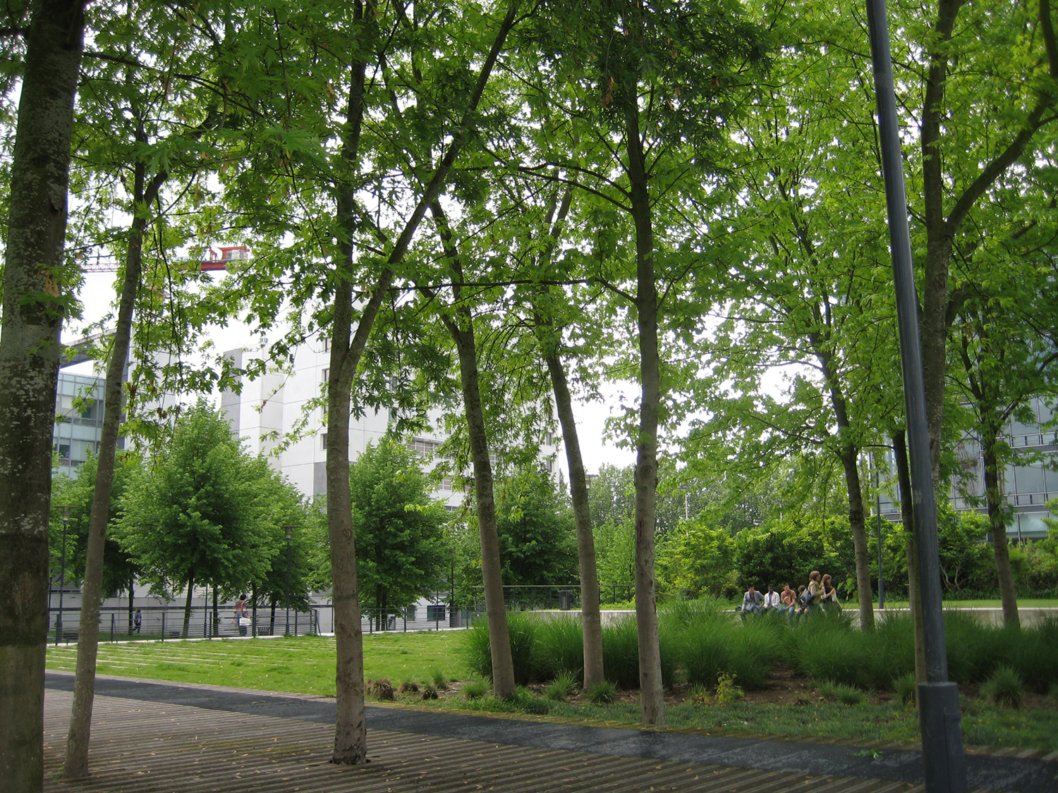 去德國之后才知道的20件事