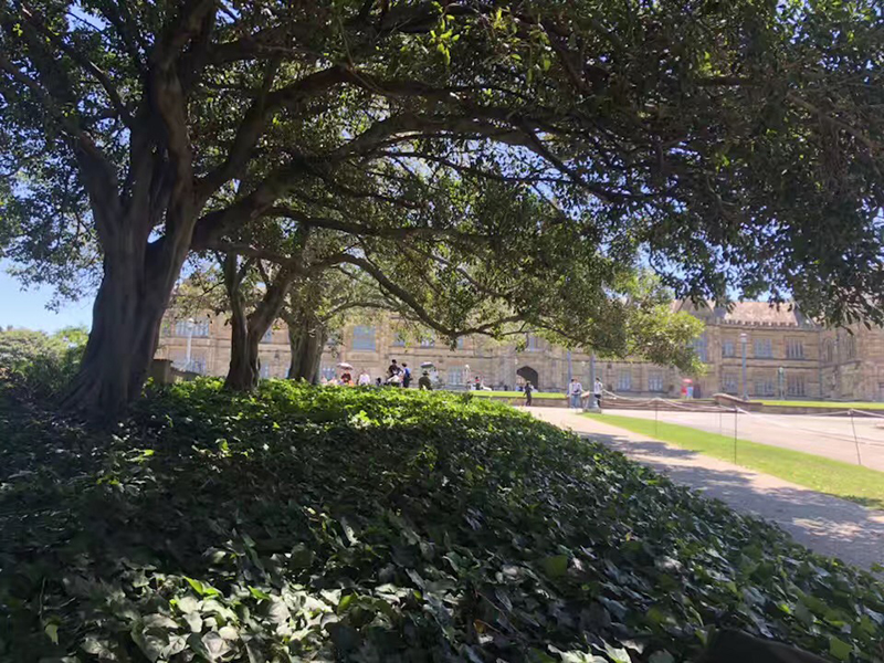 在德國讀研需要幾年？“水文憑”的心態(tài)不可有！