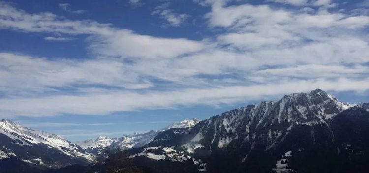 中國駐德國大使館又發(fā)重要通知