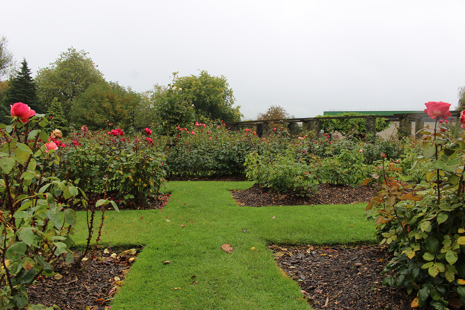 世界頂尖的“八大”德國音樂學院，有你想去的嗎？