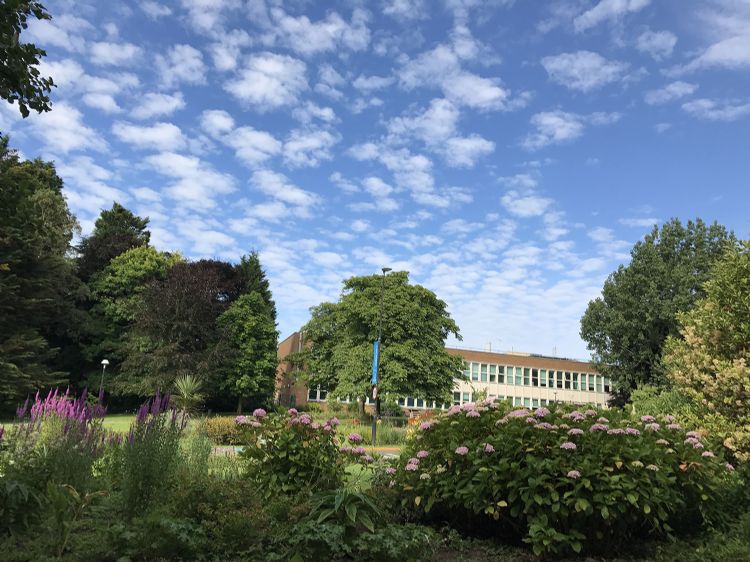 德國大學(xué)畢業(yè)后找工作？當(dāng)前德國究竟需要哪些人才？