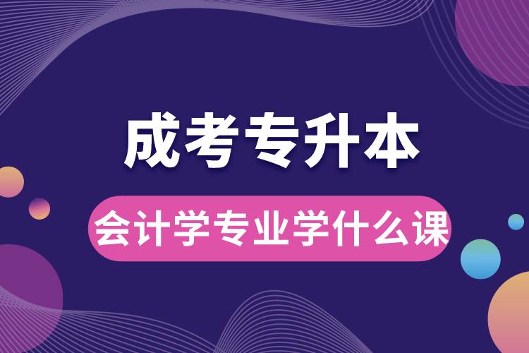 成考專升本會計學專業(yè)學什么課