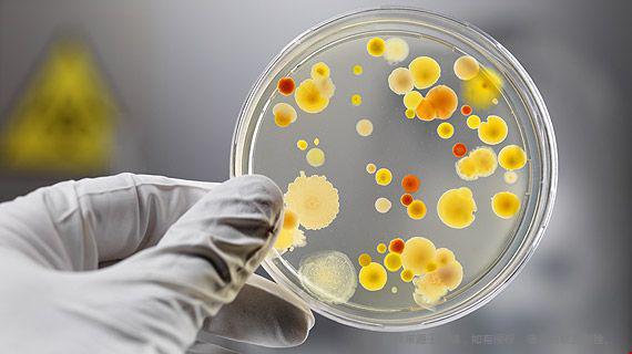 美國生物學(xué)研究生申請要求及材料一覽