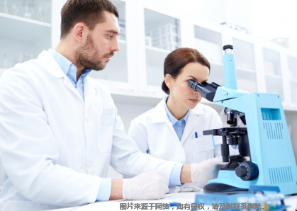 美國本科生物醫(yī)學工程專業(yè)排名top30