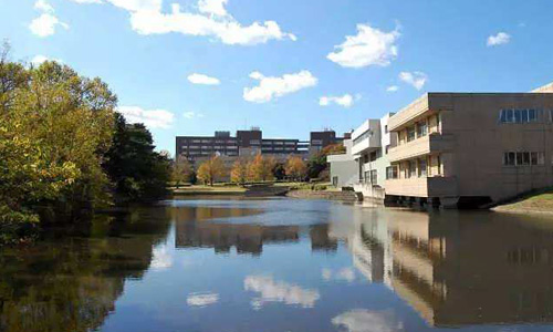 女子美術大學研究生全解析