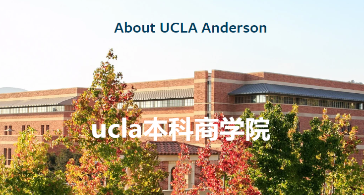 ucla本科有商學(xué)院嗎？