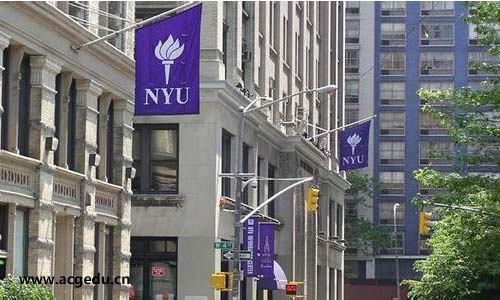 2021-19年紐約大學入學條件