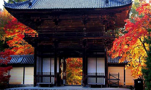 日本京都市立藝術大學研究生專業(yè)