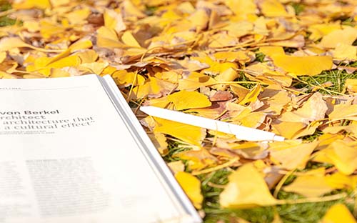 如何辨別網(wǎng)上成人高考的真假？