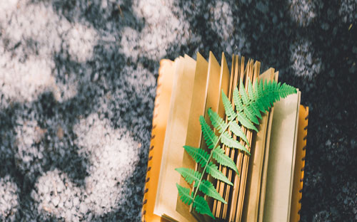 成人高考需要花幾年？