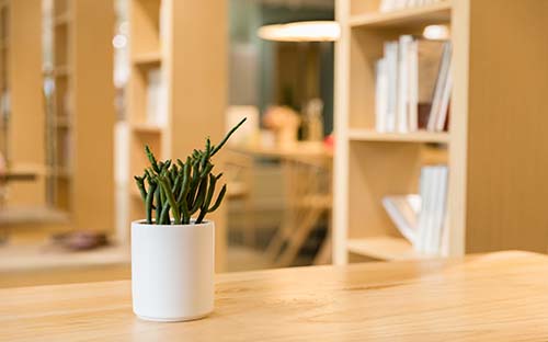 四川省成人高考本科學(xué)歷還能考什么？