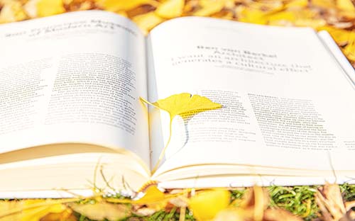 成人高考函授選什么專業(yè)好？